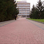 Катушка 200х165х60 Зеленый с/ц, ч/п
